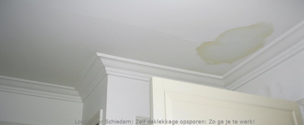 Daklekkage Opsporen Schiedam