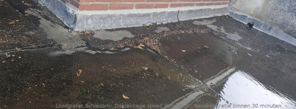 Daklekkage Spoed Schiedam