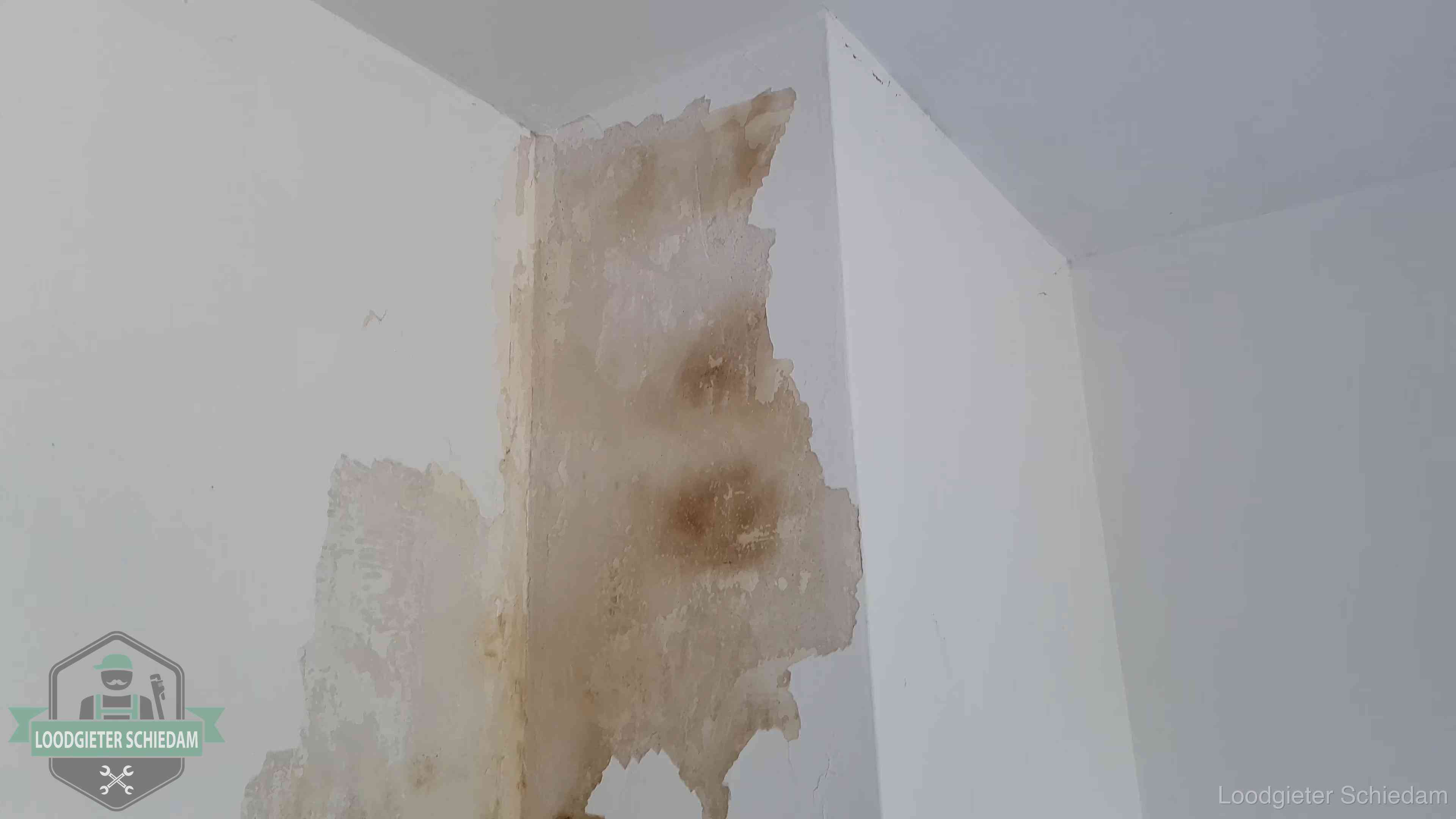Daklekkage herkennen in Schiedam Bruine vochtkringen en afbladderend stucwerk op een binnenmuur in Schiedam, een eerste teken van daklekkage