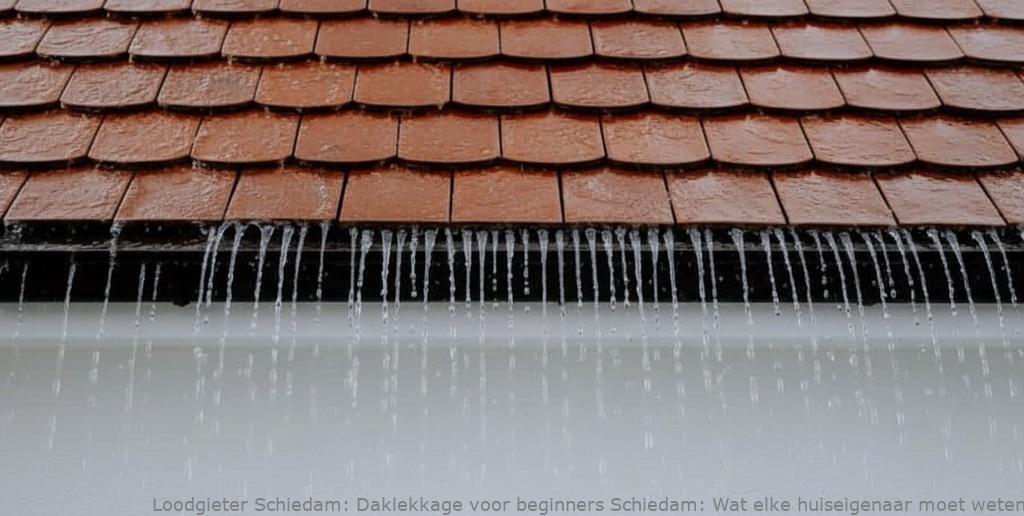 Daklekkage Voor Beginners Schiedam