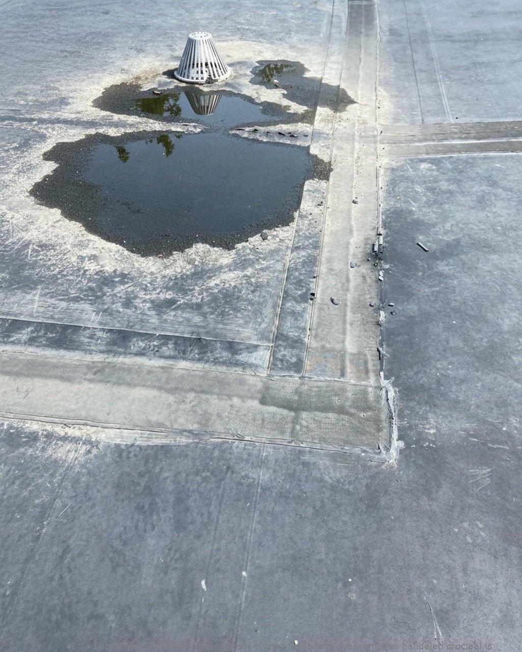 Daklekkage Winter Schiedam