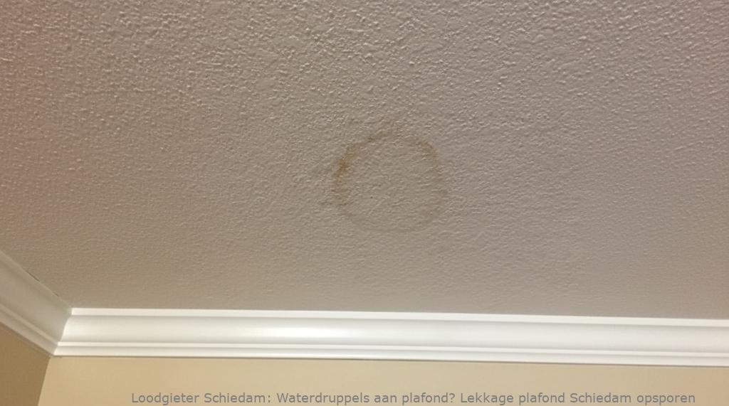 Lekkage Plafond Schiedam