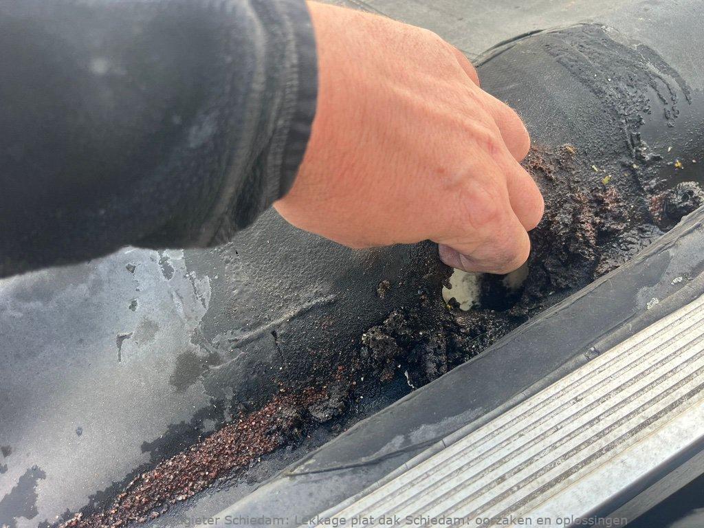 Lekkage Plat Dak Schiedam