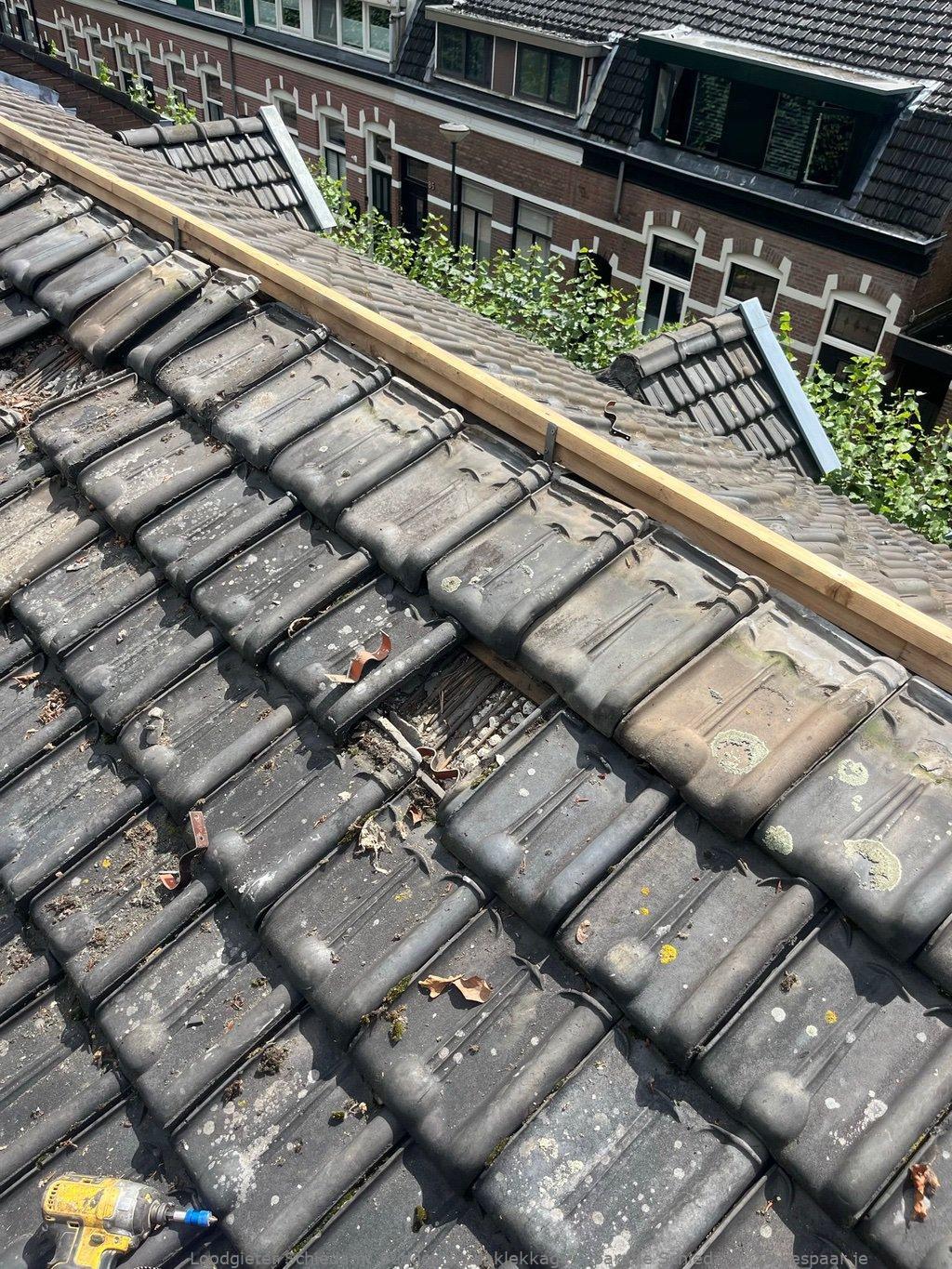 Lekkage Reparatie Schiedam