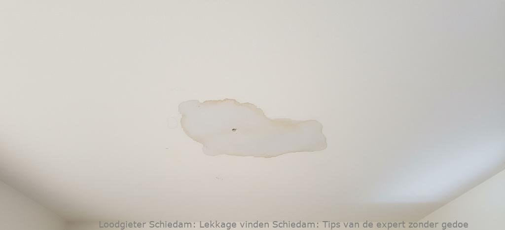 Lekkage Vinden Schiedam