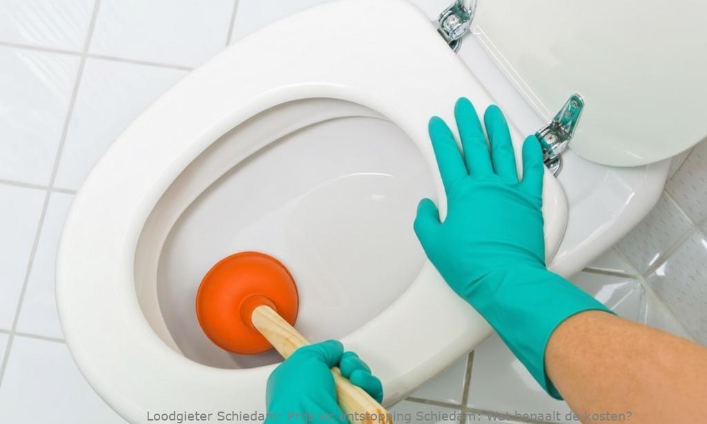 Prijs Wc Ontstopping Schiedam