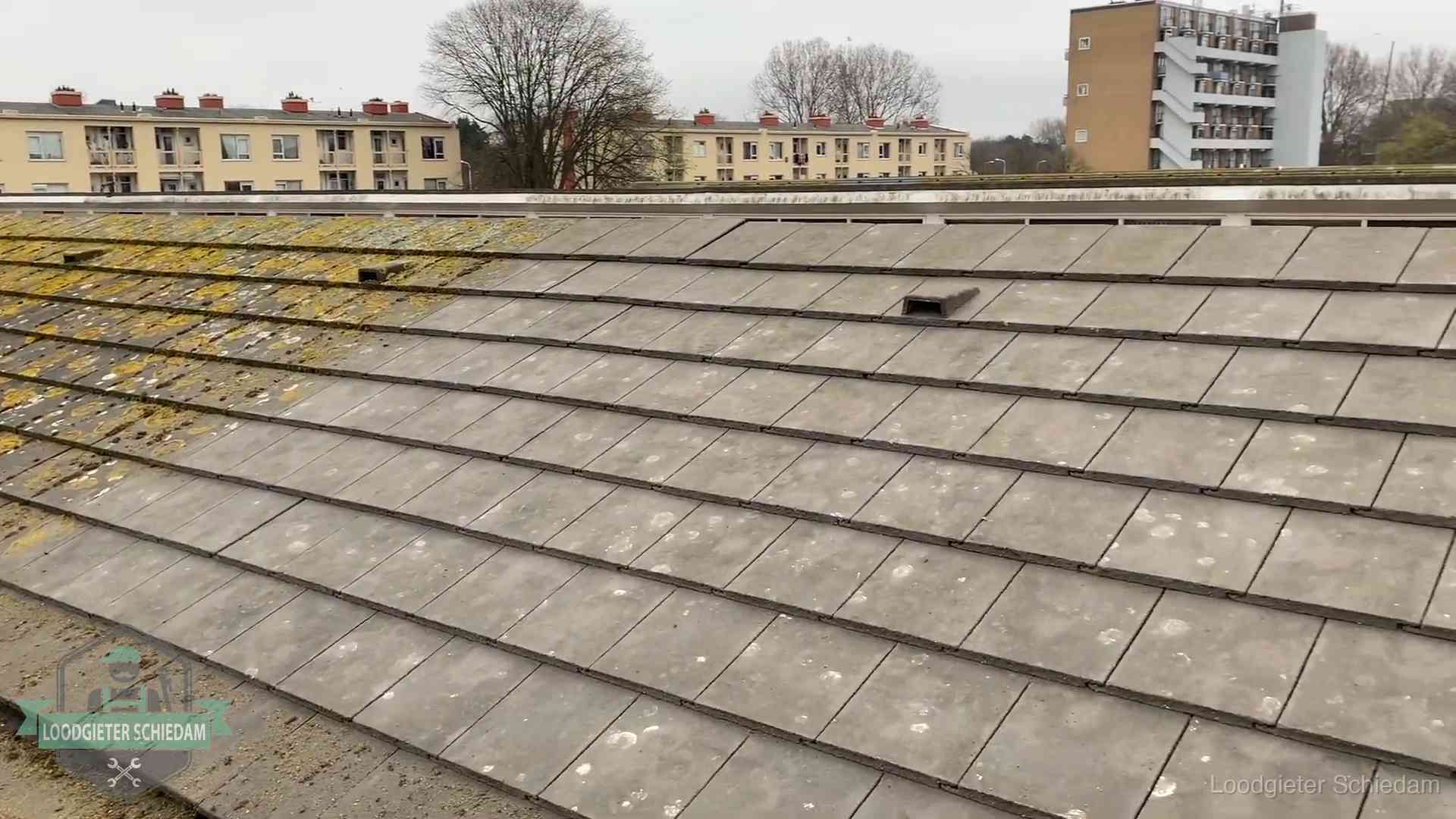 Dakpannen op een schuin dak in Schiedam Schuin dak met betonpannen vol mos in Schiedam, een risico op lekkage bij de pannen