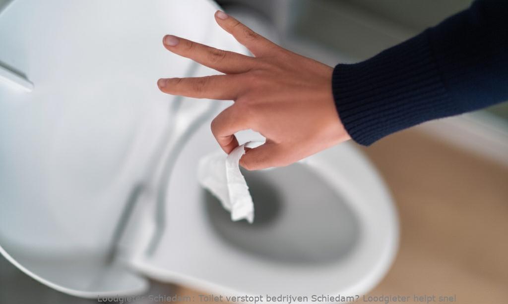 Toilet Verstopt Bedrijven Schiedam