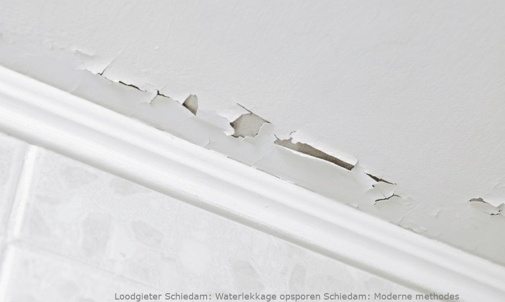 Waterlekkage Opsporen Schiedam